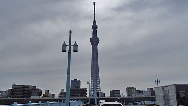 言問橋から見えるスカイツリー